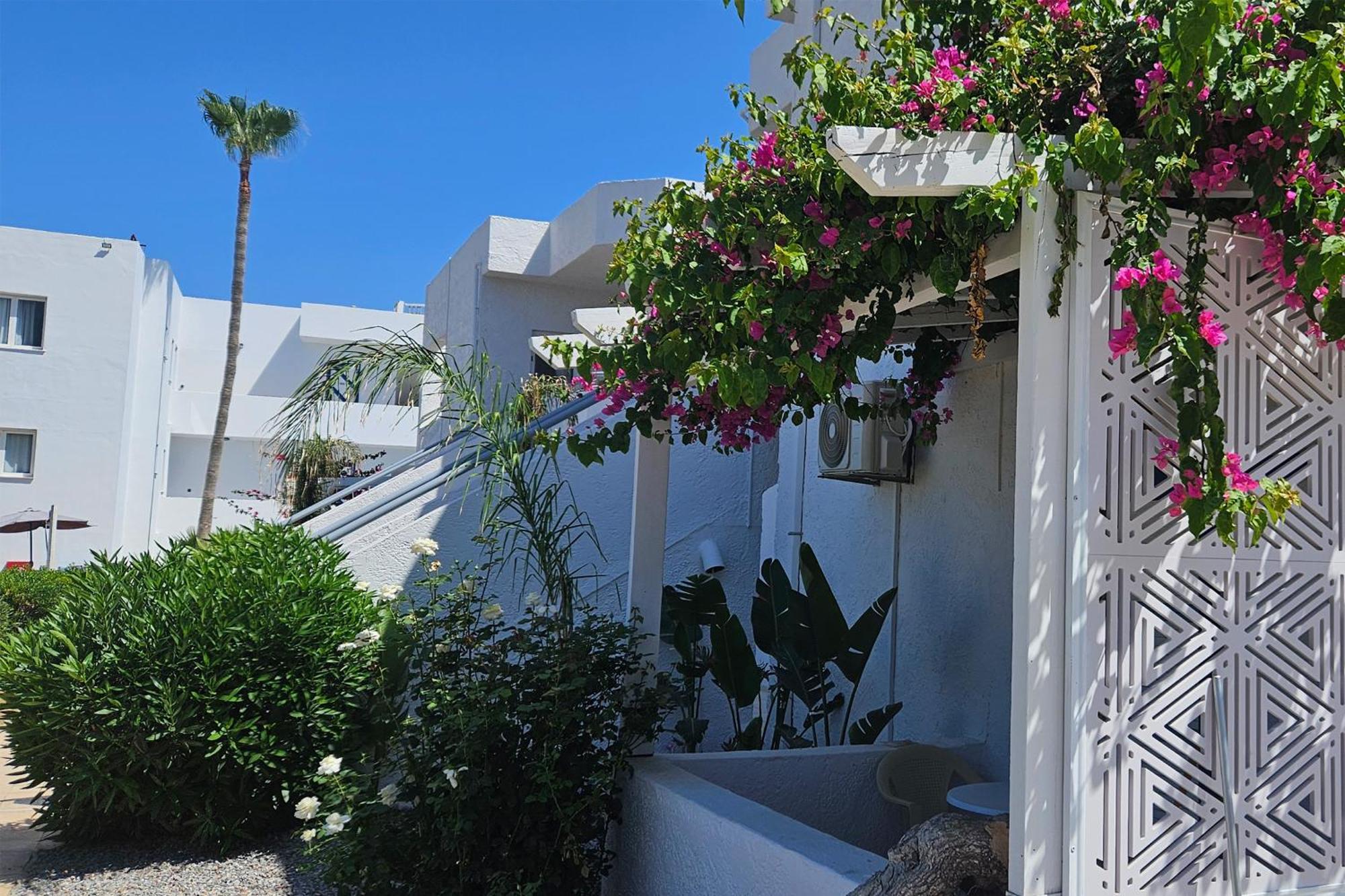 Aegean View Hotel - Adults Only Sfáka 外观 照片